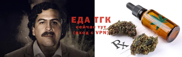 индика Абаза