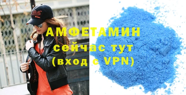 индика Абаза