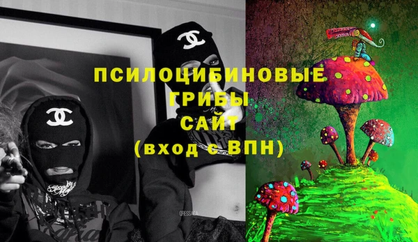 индика Абаза