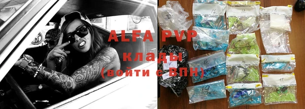 индика Абаза