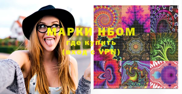 индика Абаза