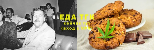 индика Абаза