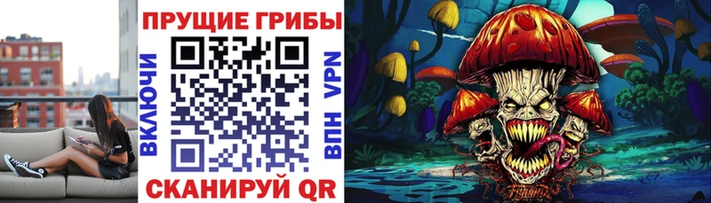 Галлюциногенные грибы Psilocybine cubensis  Новотитаровская 